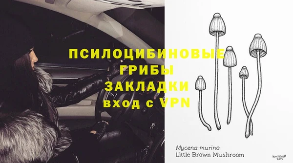 МДПВ Арсеньев