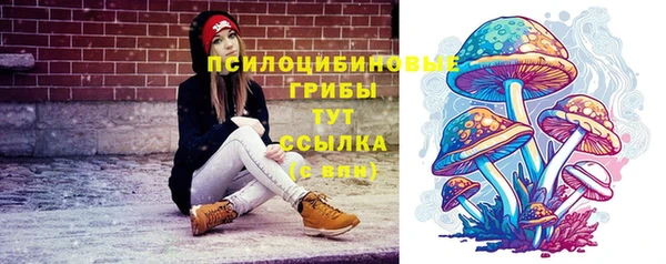 прущая мука Армянск