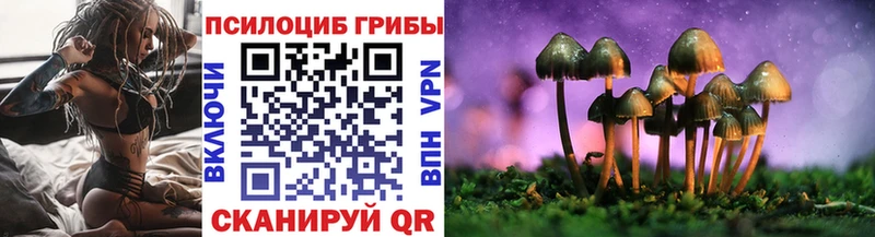 Галлюциногенные грибы Psilocybine cubensis  купить наркотик  Родники 
